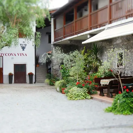 Apartment Apartmaji Pri Zivcovih *