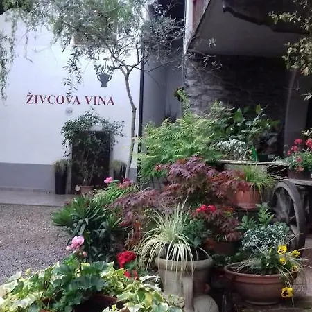 Daire Apartmaji Pri Zivcovih Dutovlje