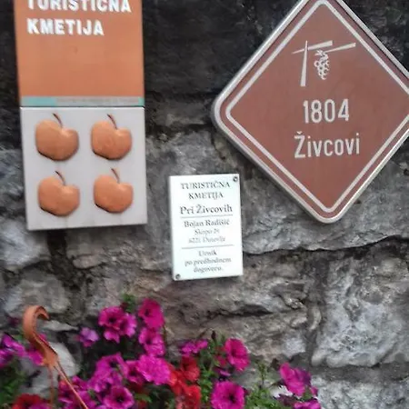Apartmaji Pri Zivcovih *