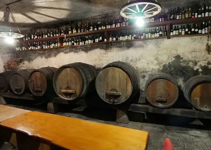 Apartmaji Pri Zivcovih Dutovlje