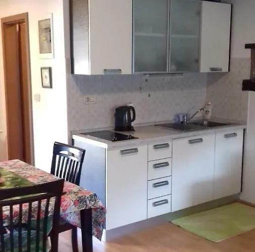 Apartmaji Pri Zivcovih דירה