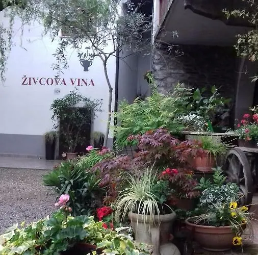 Апартаменты Apartmaji Pri Zivcovih Dutovlje