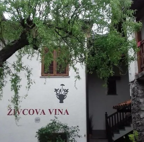 Apartmaji Pri Zivcovih *