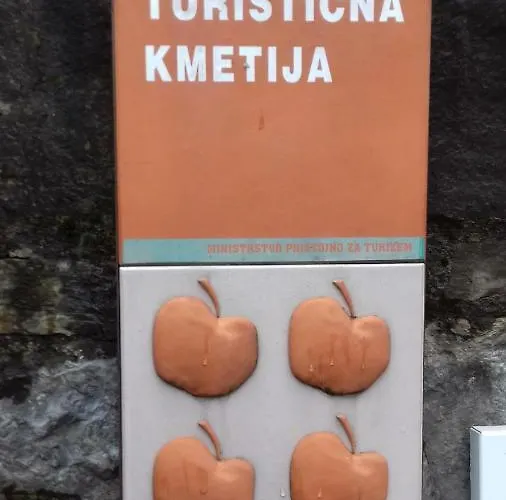 شقة Apartmaji Pri Zivcovih Dutovlje